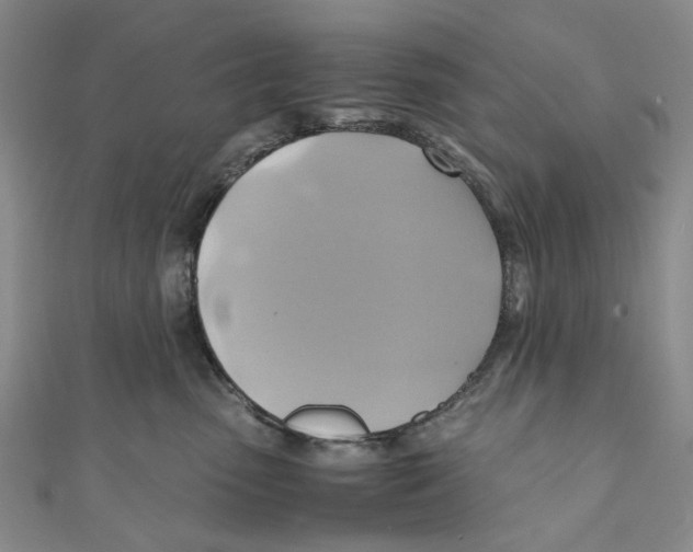 X0000110970475200907171715