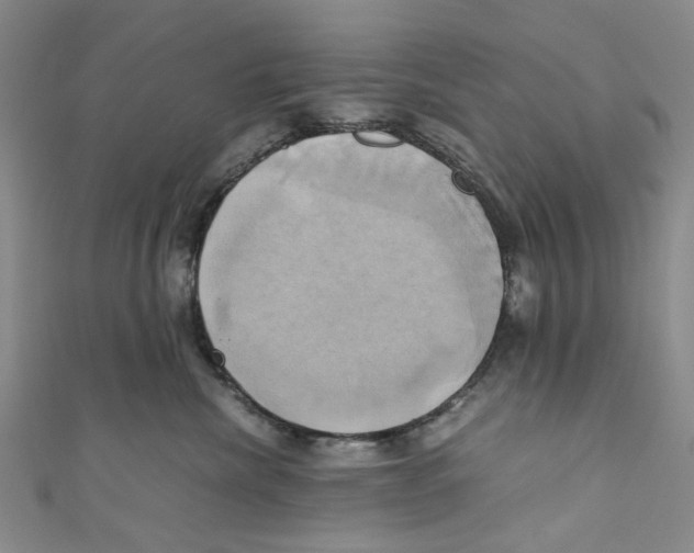 X0000110970476200907171715