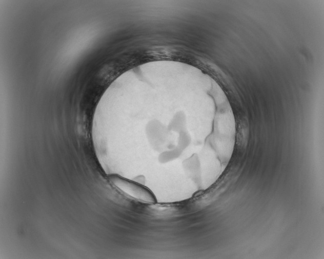 X0000110970477200907171715