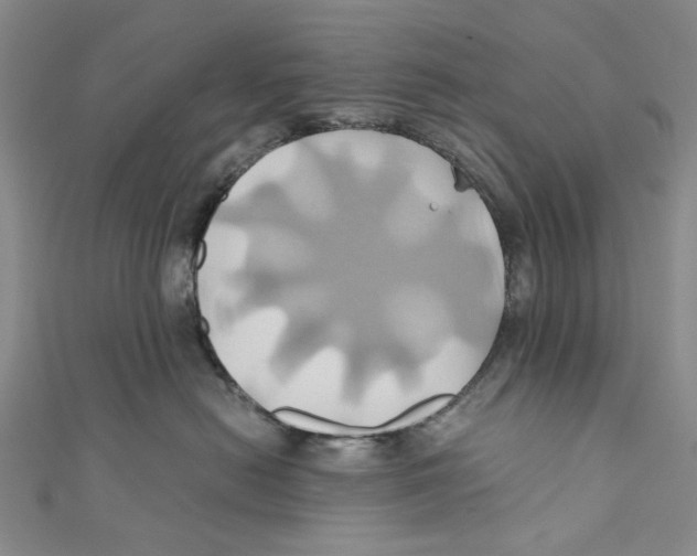 X0000110970478200907171715