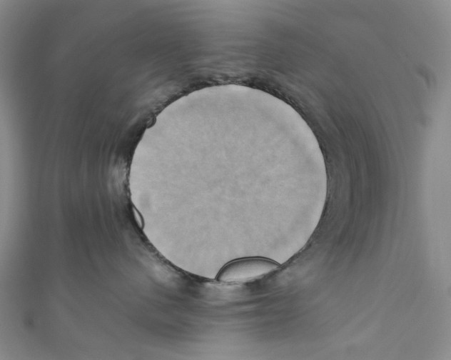 X0000110970480200907171715