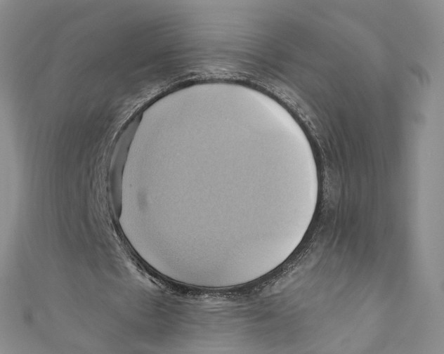 X0000110970481200907171714
