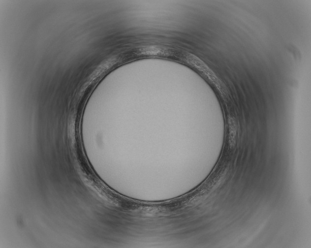 X0000110970482200907171714