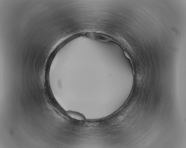 X0000110970484200907171714