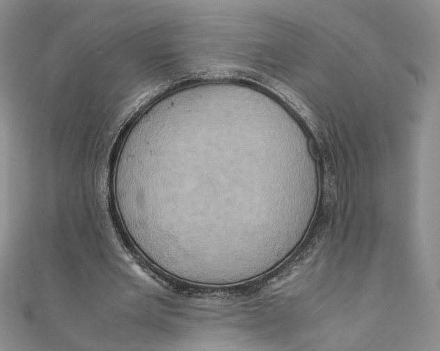 X0000110970485200907171714