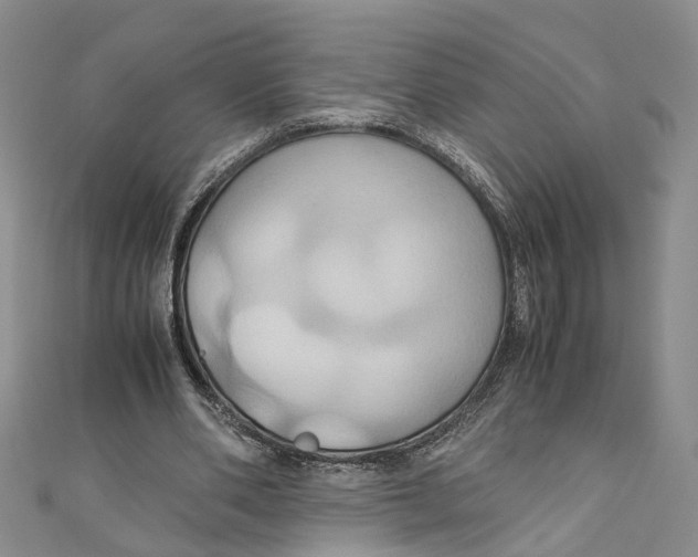 X0000110970486200907171714