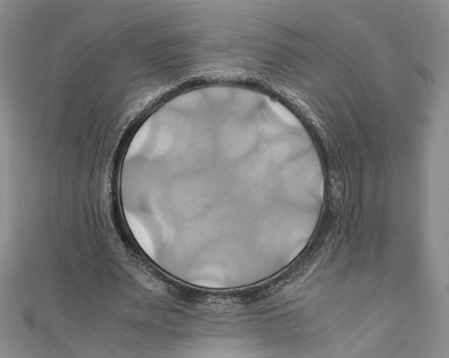 X0000110970487200907171714
