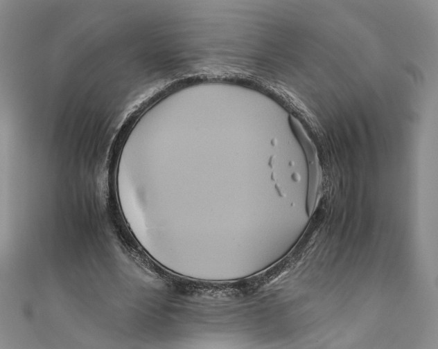 X0000110970488200907171714