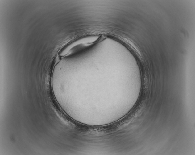 X0000110970489200907171714