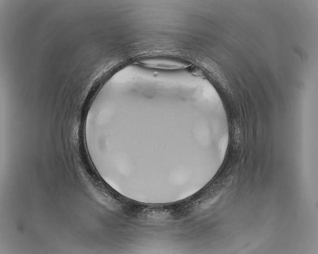 X0000110970491200907171714
