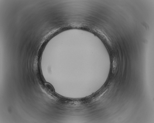 X0000110970492200907171714
