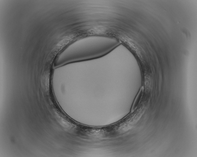 X0000110970493200907171714