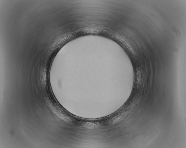 X0000110970494200907171714