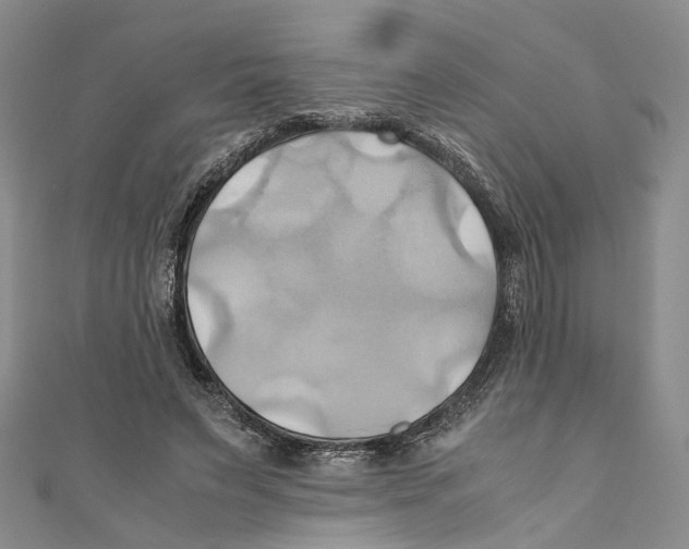 X0000110970495200907171714