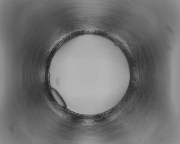 X0000110970496200907171714