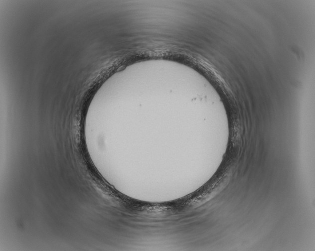 X0000110970497200907171714