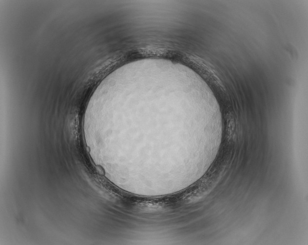 X0000110970498200907171714