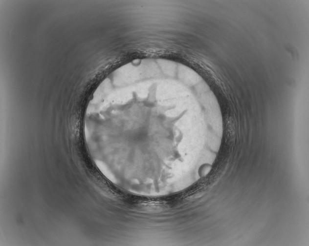 X0000110970499200907171714