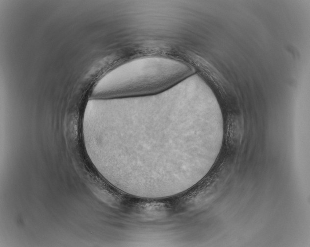 X0000110970501200907171714