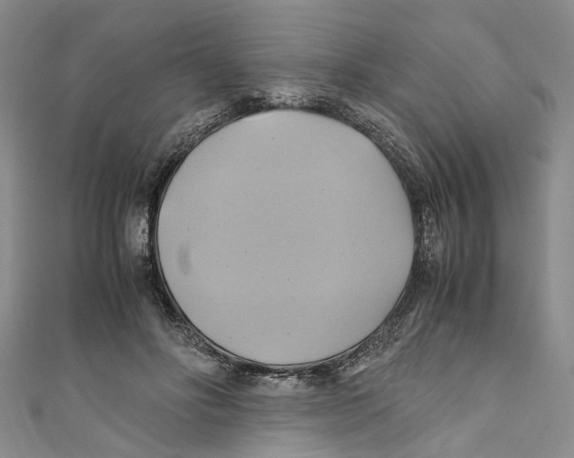 X0000110970502200907171714