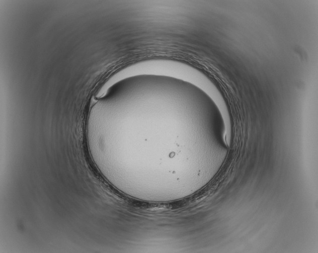 X0000110970505200907171714