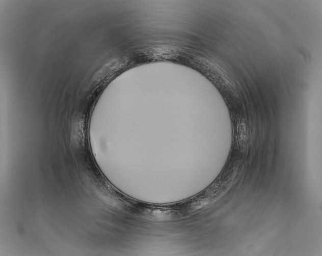 X0000110970506200907171714