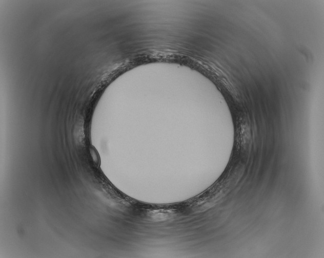 X0000110970508200907171714