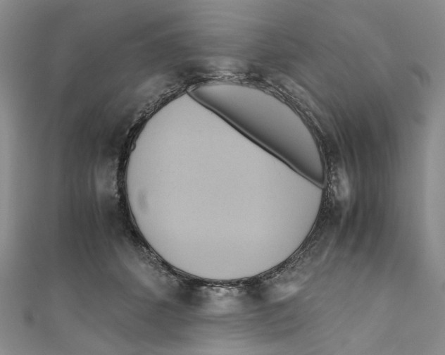 X0000110970512200907171713