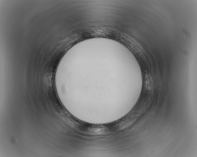 X0000110970514200907171713