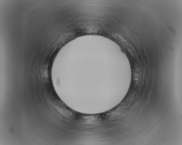 X0000110970516200907171713