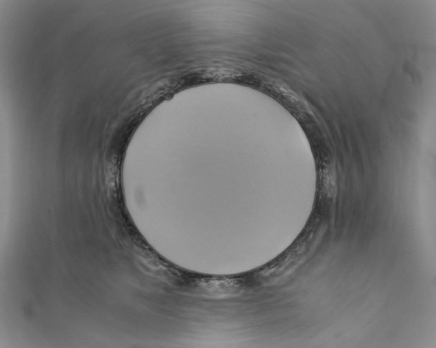 X0000110970517200907171713