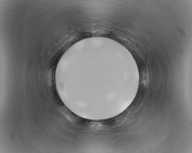 X0000110970519200907171713