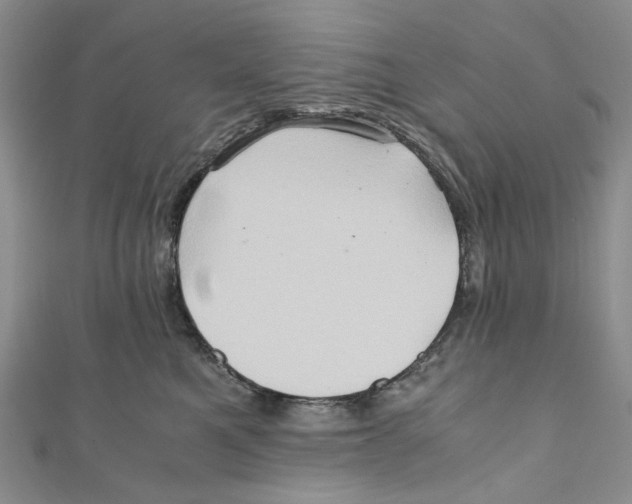 X0000110970521200907171713