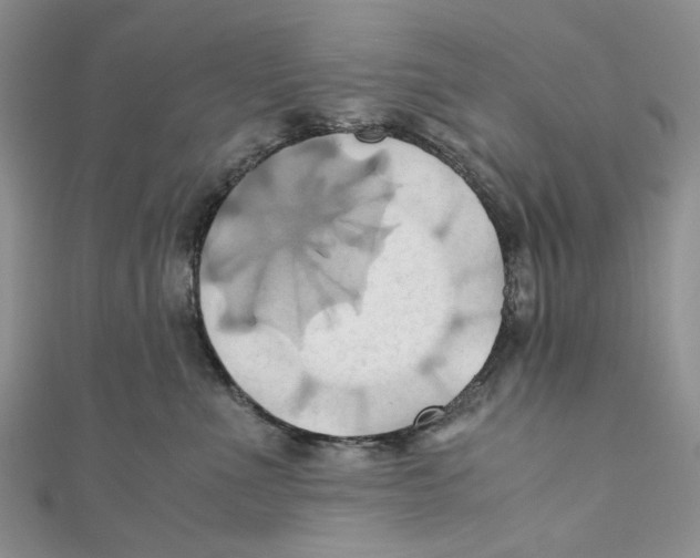 X0000110970523200907171713