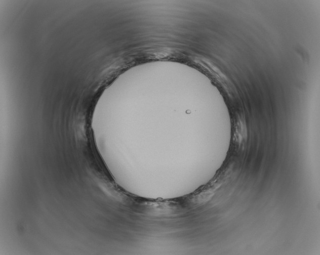 X0000110970524200907171713