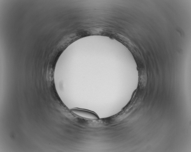 X0000110970525200907171713