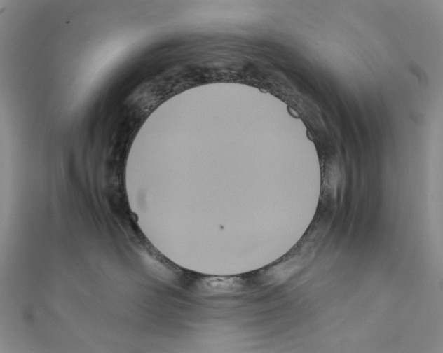 X0000110970526200907171713