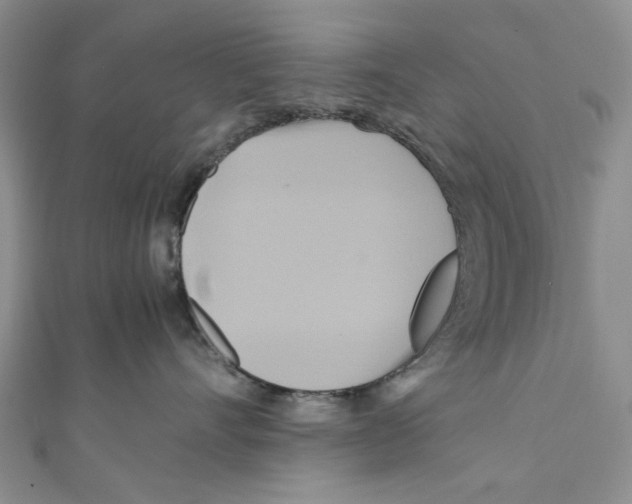 X0000110970528200907171713