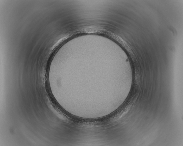 X0000110970530200907171713