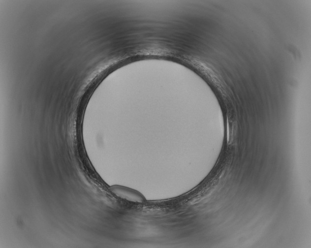 X0000110970531200907171713
