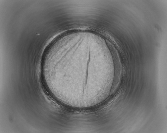 X0000110970532200907171713