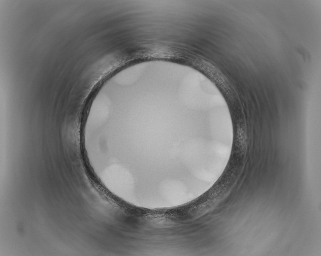 X0000110970534200907171713