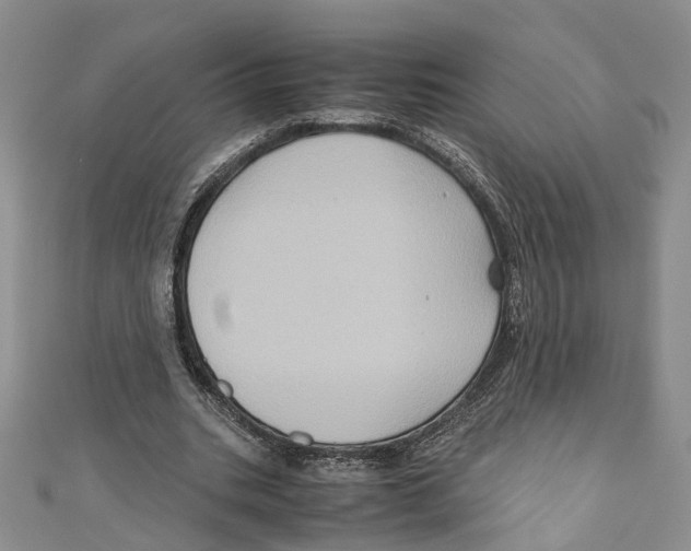 X0000110970535200907171713