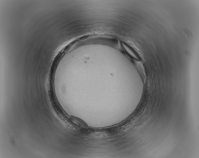 X0000110970536200907171713