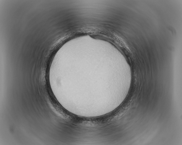 X0000110970538200907171713