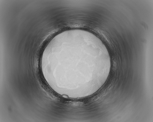 X0000110970539200907171713