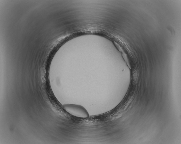 X0000110970540200907171713