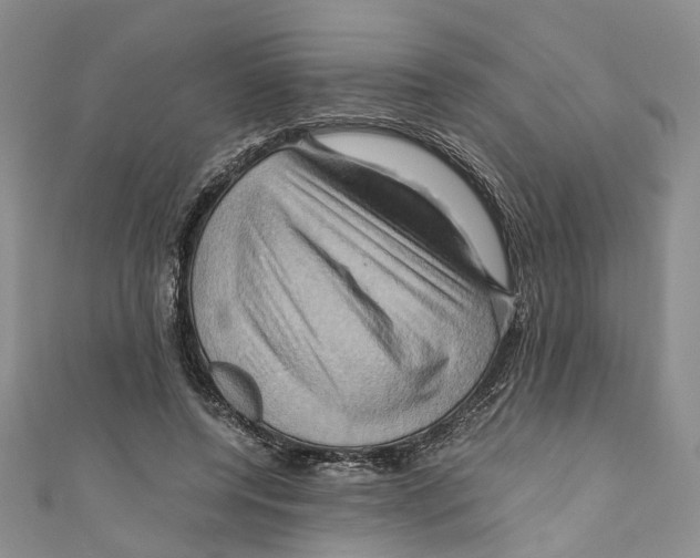 X0000110970544200907171713