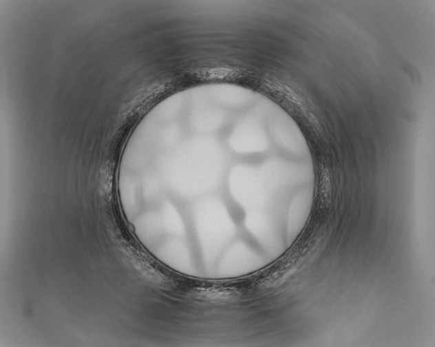 X0000110970545200907171713