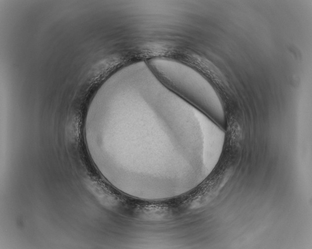 X0000110970546200907171713
